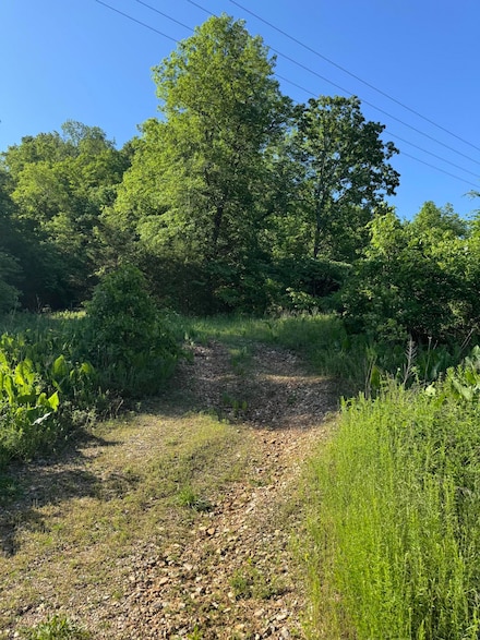 6110 Route E, Pineville, MO 64856