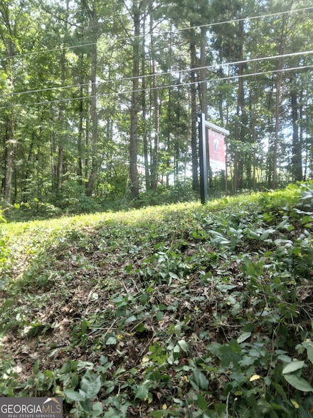 0 Hidden Unit 10555951, Jasper, GA 30143