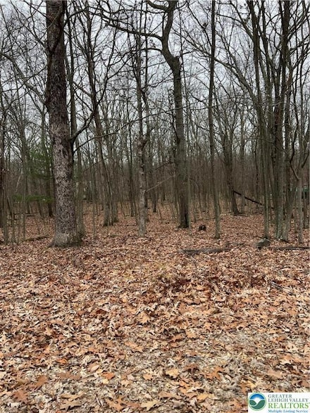 129 Fall Ct Unit 58, Dingmans Fry, PA 18328