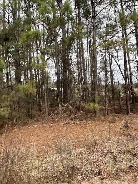 0 Kelly Ave W Unit 24032580, Sparkman, AR 71763