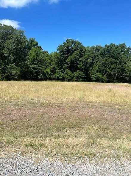 14046 Whatley Dr, Streetman, TX 75859