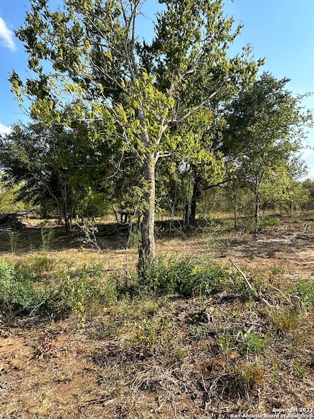 5894 Fm 1107 Unit B-Tract 1, Stockdale, TX 78160