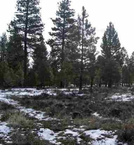 0 Misty Mountain Unit 5-lot 220175092, Klamath Falls, OR 97603