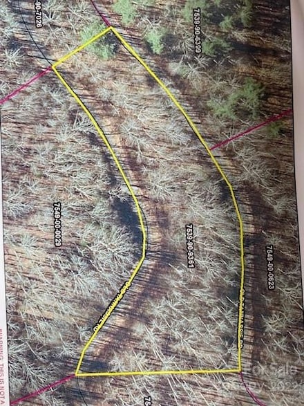 Lot 48 Mountain Forest Estates Rd, Sylva, NC 28779