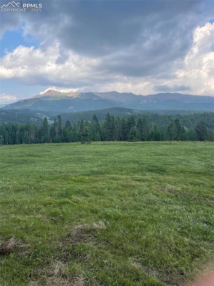 0 Rhyolite Mountain Mesa Unit 5840153, Cripple Creek, CO 80813
