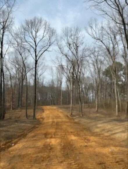 0 County Road 1367 Unit Lot 3 516986, Vinemont, AL 35179