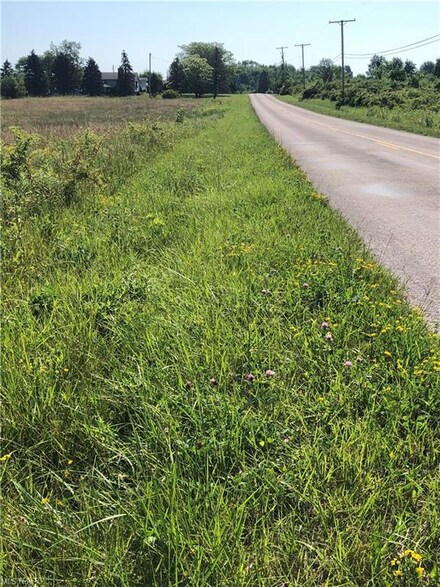 0 Building Lot #4 Hatches Corners Rd Unit 4343485, Conneaut, OH 44030
