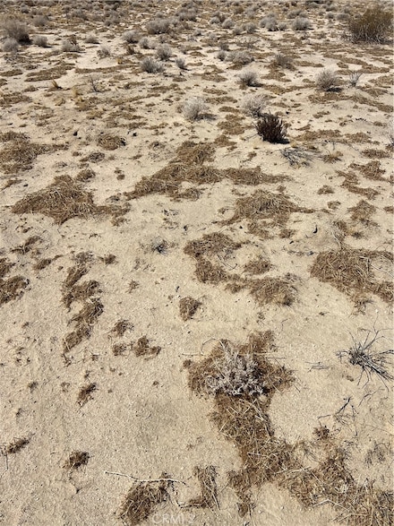 0 Highway 395 Unit IG25069976, Adelanto, CA