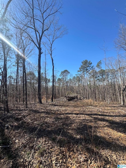 0 Rosser Ln Unit Lot 1 Boundary and D, McCalla, AL 35111