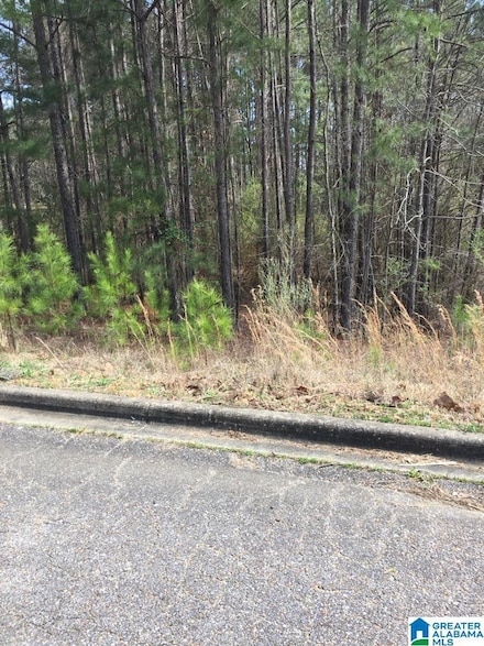 6445 Waters Edge Cir Unit Lot 24, Bessemer, AL 35022