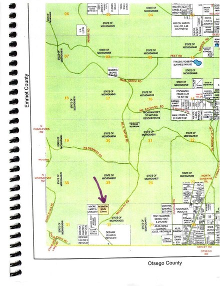 00 Mason Pit Rd, Vanderbilt, MI 49795