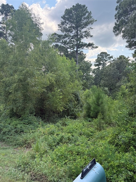 0 Warbonnet, Huntsville, TX 77320