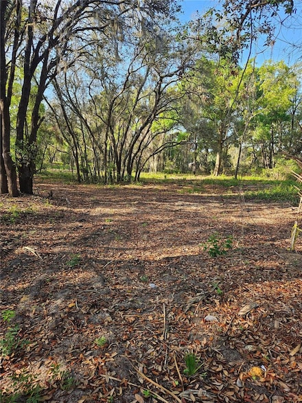 22160 Obrien Rd, Howey In Hills, FL 34737