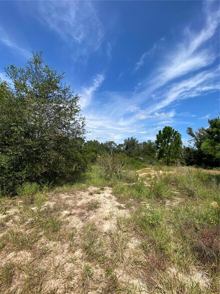 0 Circle Way Unit MFRO6143197, Leesburg, FL 34788