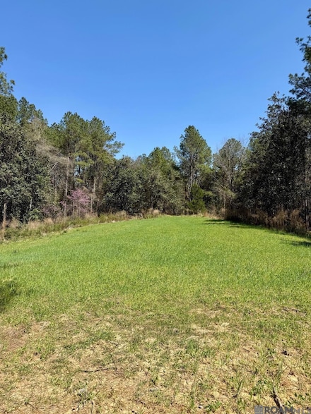 0 Lower Woodville Rd, Woodville, MS 39669