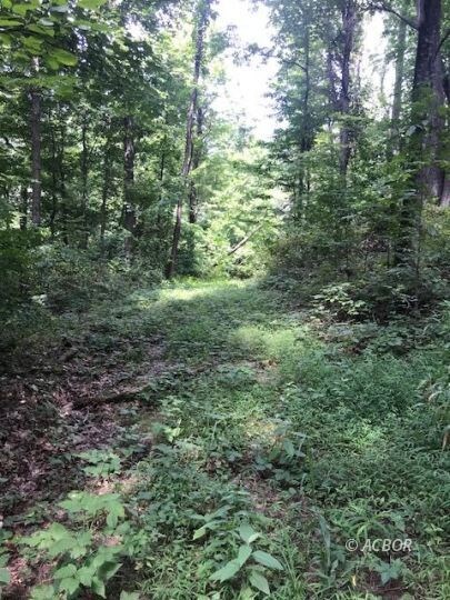 0 Mcdougal Rd, Millfield, OH 45761