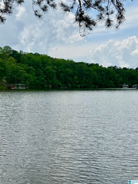 Lot 4 Old Highway 431 Unit 1, Wedowee, AL 36278