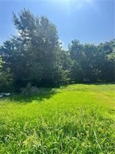 1312 Elmira Ave, New Orleans, LA 70114