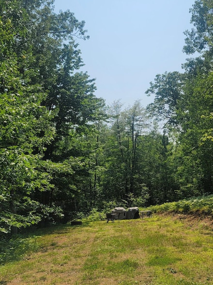 9403 Jackson Heights Rd, Harshaw, WI 54429
