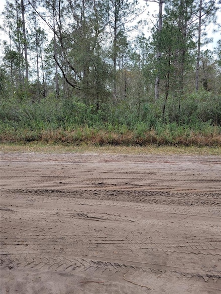 5009 Jonathan St, Hastings, FL 32145