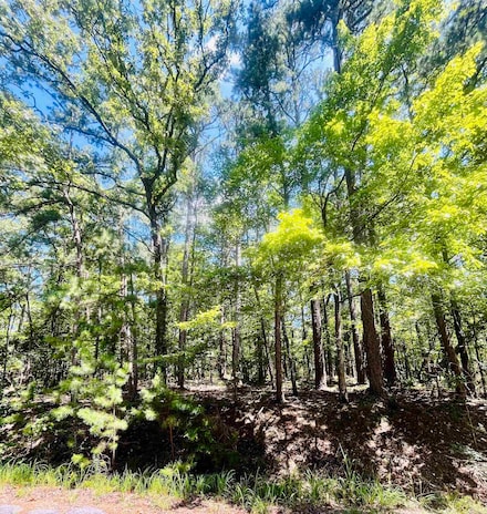 16 Pamplona Ln, Hot Springs Village, AR 71909