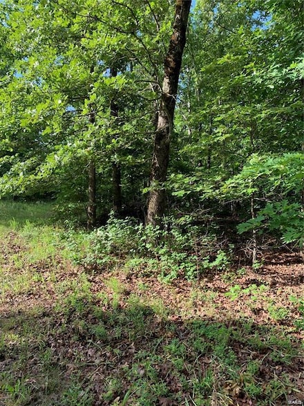 0 Highway 160w-13 Unit MAR24034591, Doniphan, MO 63935