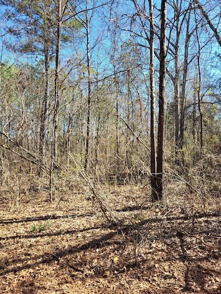 0 Serenity Ln, Talladega, AL 35160