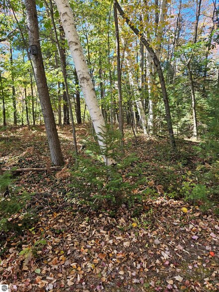 8300 Kokosing Rd, Hale, MI 48739