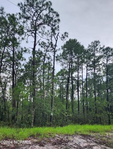 Tr-45 Cactus Rd, Boiling Spring Lakes, NC 28461