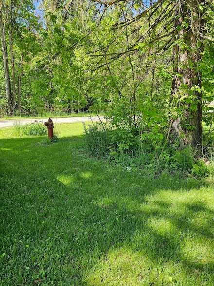 101 Camplite St, Vandalia, MI 49095