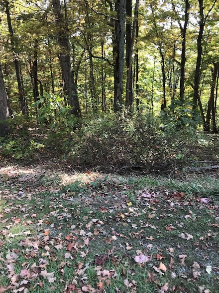 TBD Lot#3 Elem Dr, Chilhowie, VA 24319