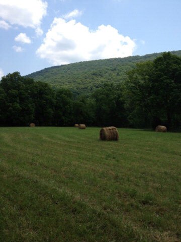 TBD Potts Creek Rd, Covington, VA 24426