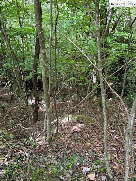 105 Sassafrass Rd, Beech Mountain, NC 28604