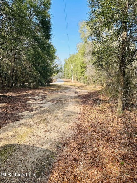127 Oakhaven Drive 2 7 Acres, Lucedale, MS 39452