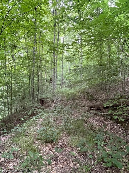 TBD Weirlong Rd, Quick, WV 25045