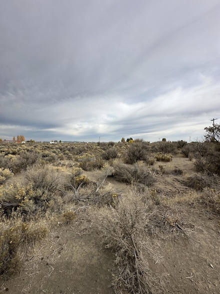 0 Aspen (Apn 4773) St Unit 220191219, Christmas Valley, OR 97641