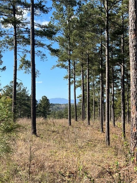 Lot # 51 Highlands Ridge Rd, Salem, SC 29676