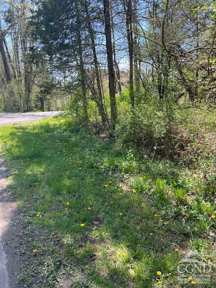 4 Catskill Ct, Coxsackie, NY 12015