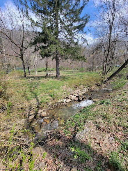 75 Isner Creek Rd, Elkins, WV 26241