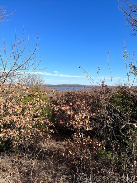 769 N Hill And Dale Dr, Cleveland, OK 74020