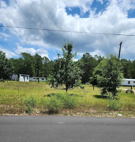8961 Ware Dr, Nichols, SC 29581