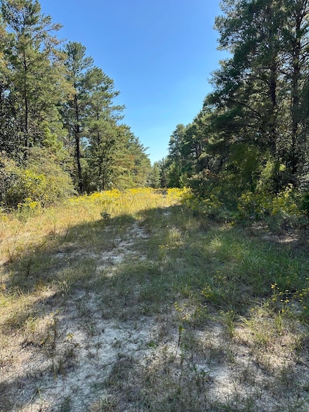 134 Post Oak Rd, Defuniak Springs, FL 32433