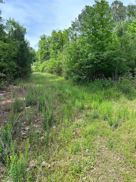 269 Lake Degray Ln, Bismarck, AR 71929