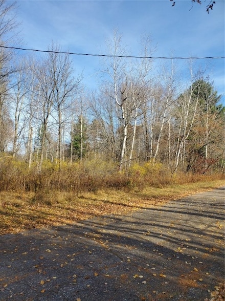 Lots 15-18.5 265th Ave, Holcombe, WI 54745