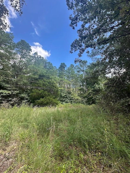 0 Ewell Rd Unit 10204044, Moscow, TN 38057