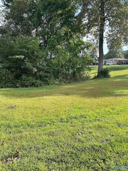 16-17-1 Jarmon Rd, Guntersville, AL 35976