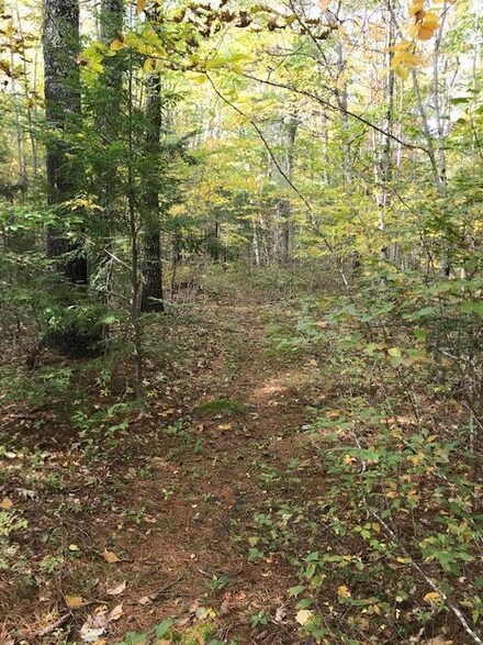 00 Cathederal Pines-Egypt Rd Rd, Damariscotta, ME 04543