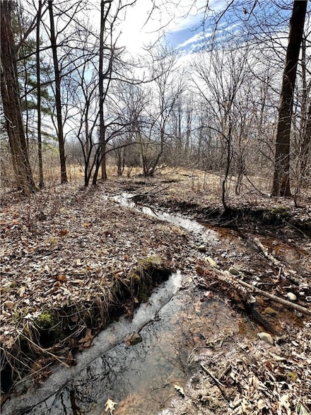 20+- Acres(Lot 2) 15th St, Clayton, WI 54004