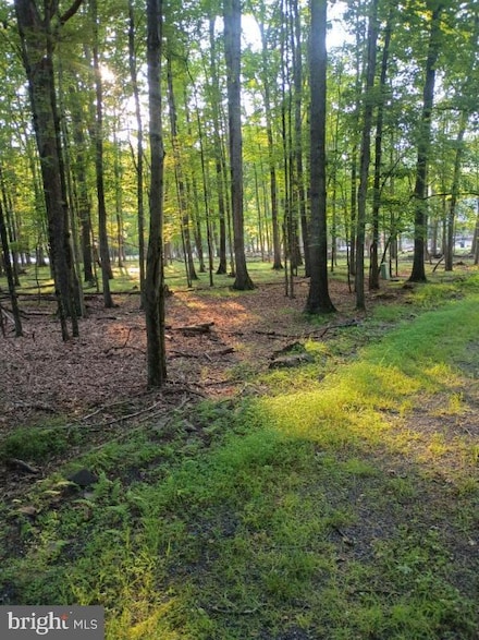 0 Chestnut Dr Unit PASK2022264, Hazleton, PA 18202