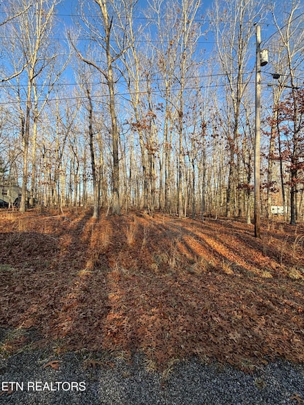 4030 Saponac Dr, Crossville, TN 38572